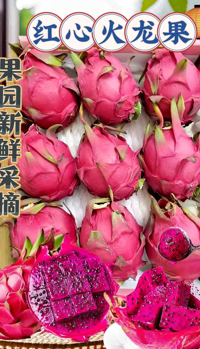火龙果几月份成熟（海南金都一号火龙果几月份成熟）