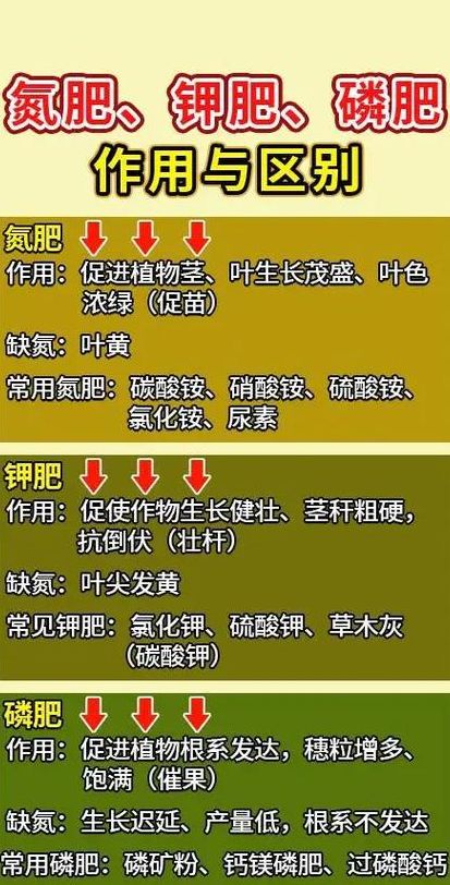 氮肥磷肥钾肥作用口诀（氮肥磷肥钾肥各自的作用）