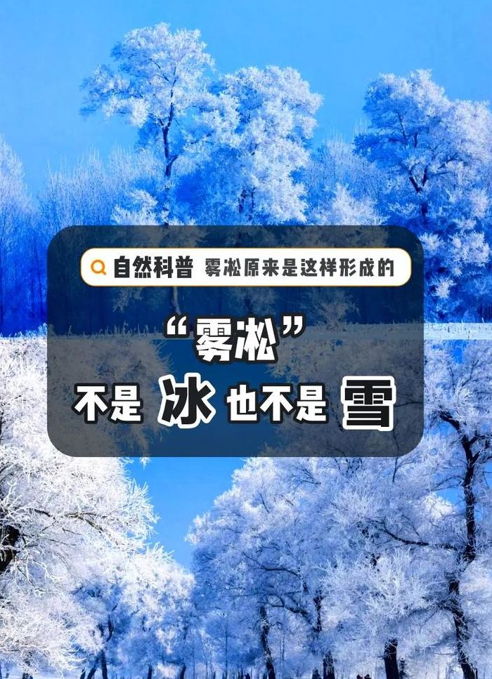 雾凇是怎么形成的（雾凇是怎么形成的图片加文字描述）