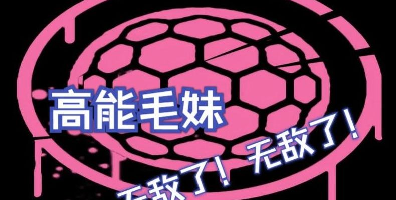 高能是什么意思（毛妹高能是什么意思）