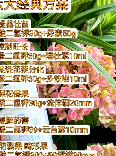 自制万能花肥（家庭养花最简单的肥料）