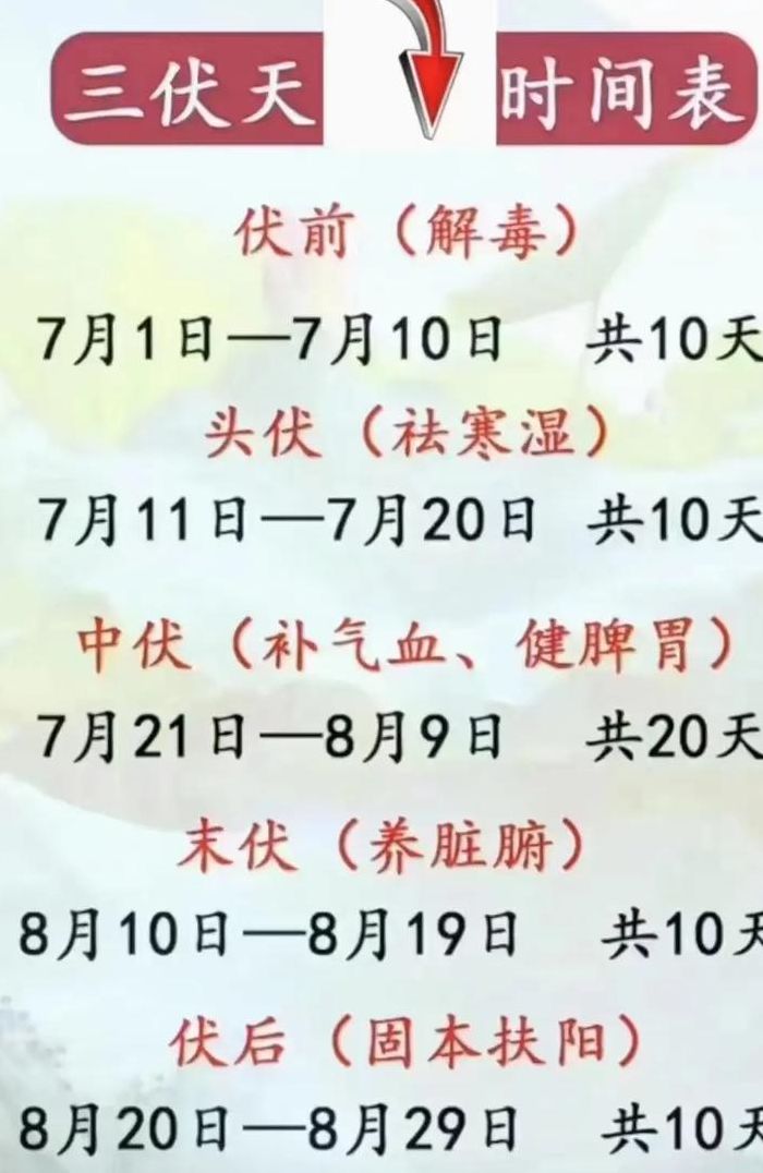 中伏第几天（中伏几天了）