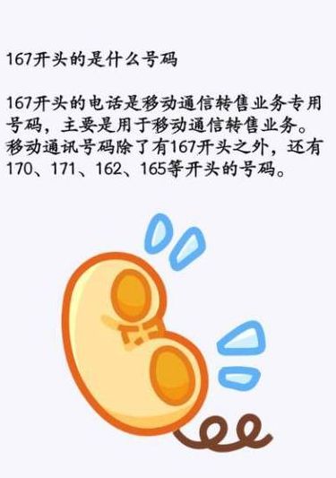 166开头的手机号（166开头的手机号是属于哪个地方）