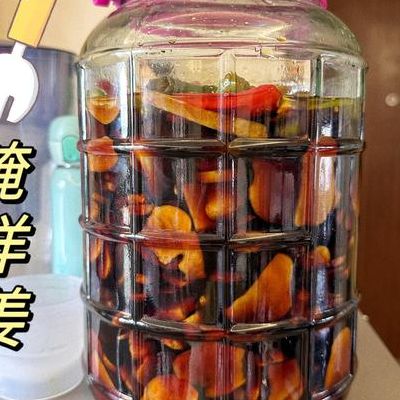 腌洋姜的做法（腌洋姜的做法大全）