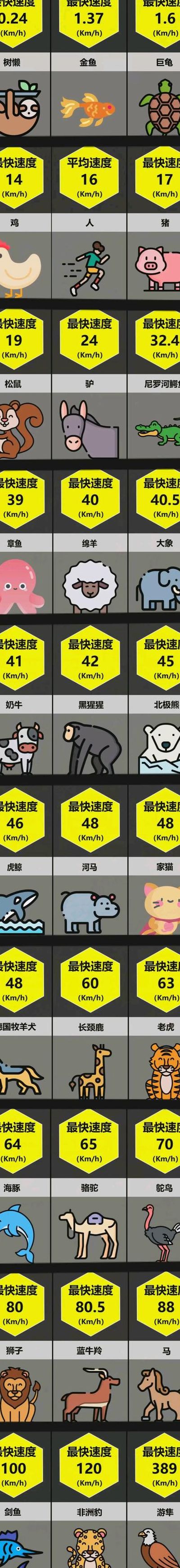 各种动物速度对照表图（每种动物的速度）