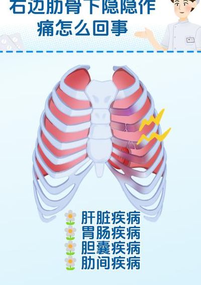 右肋后下疼痛对照表图（右肋骨后下面疼是怎么回事）