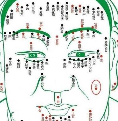 面部长痣对照表图女（面部长痣示意图）