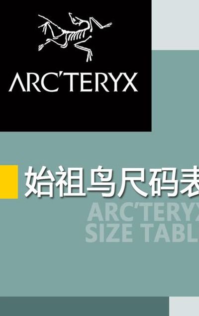 始祖鸟体恤尺寸对照表图（始祖鸟外套尺码对照表）