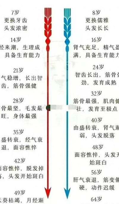 男女衰老对照表图解图（男女衰老对照表图解图片）