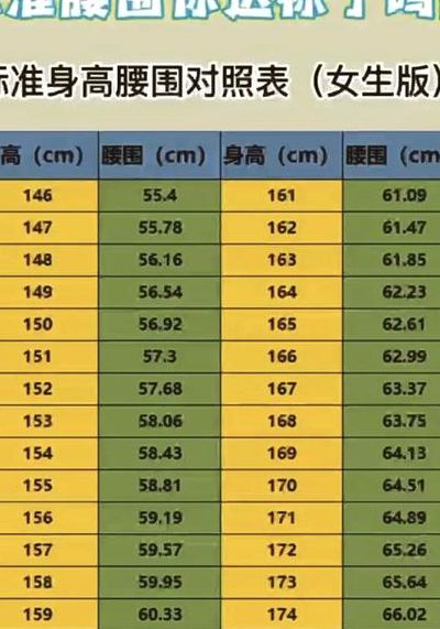 女士腰围厘米对照表图（女士腰围尺寸对照表）