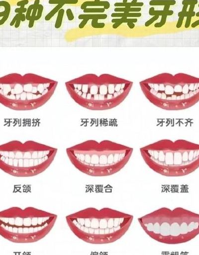 牙齿正常口型对照表图（牙齿正常的形态）