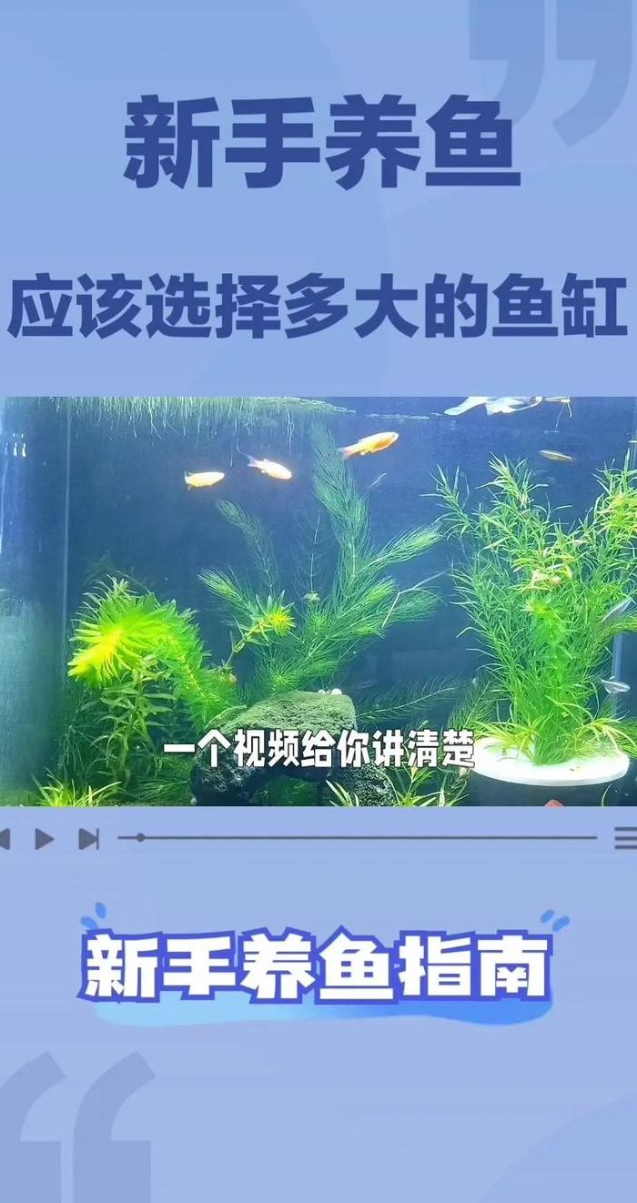 小鱼缸尺寸对照表图大全（小鱼缸高度多少合适）