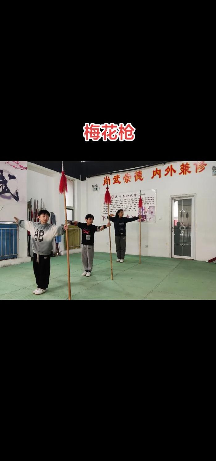 梅花枪套路对照表图（梅花枪全套枪谱）