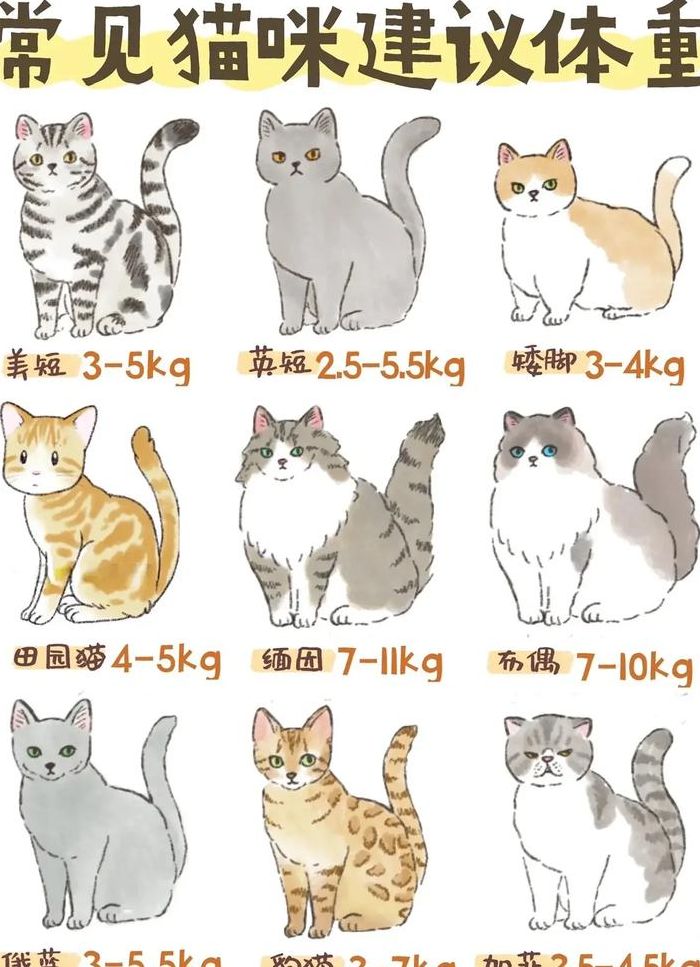 不同品种猫体重对照表图（不同品种的猫的性格）