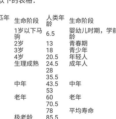 马和人的年龄对照表图（马和人的关系）