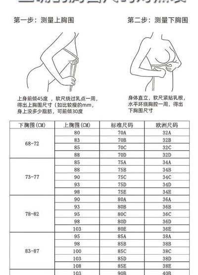 罩杯尺寸对照表图（罩杯尺寸图例）