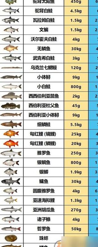鱼的重量与体积对照表图（鱼的重量是多少）