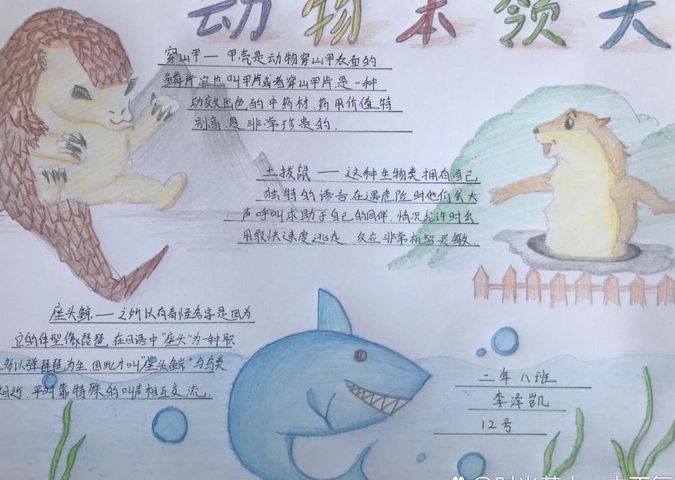 动物的绝招是什么（动物的绝招是什么二年级写的）