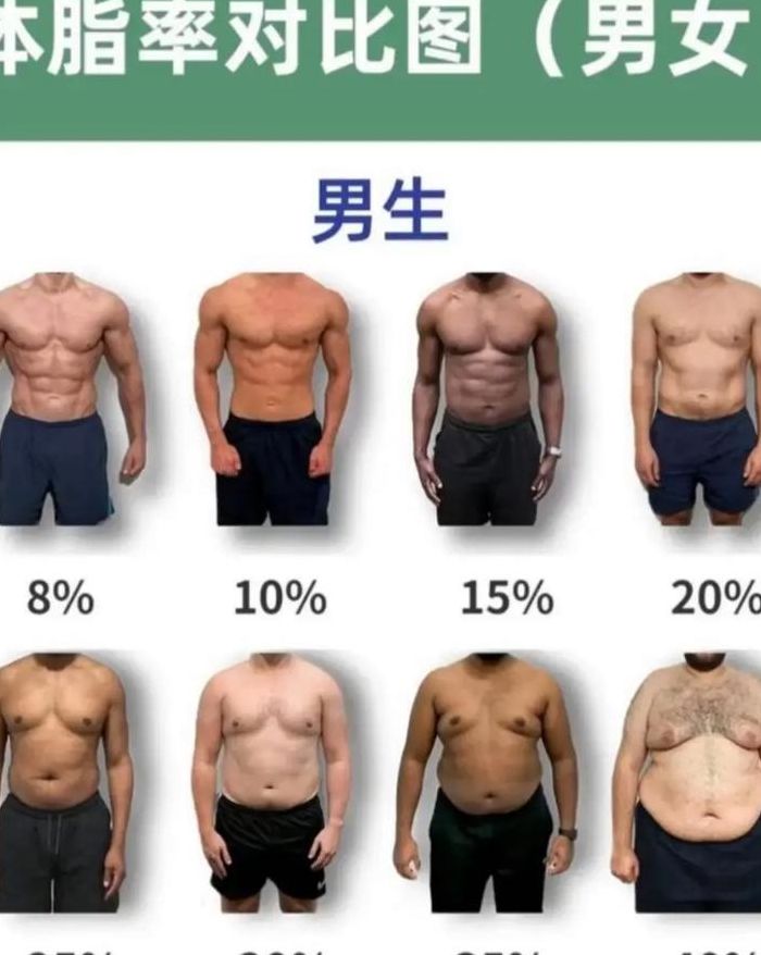 男士脂肪率标准对照表图（男士脂肪率对比照片）