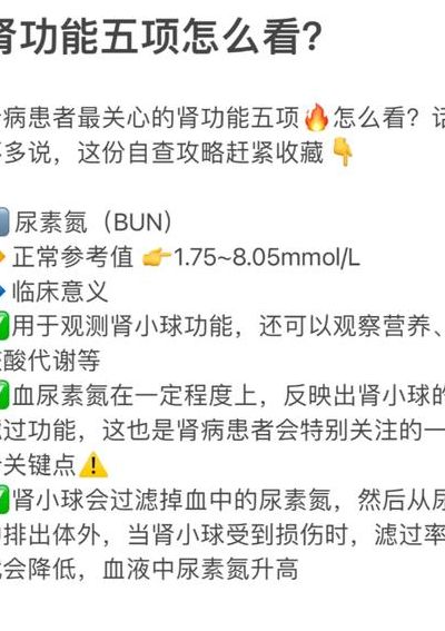 肾功能五项对照表图（肾功能5项包括什么）