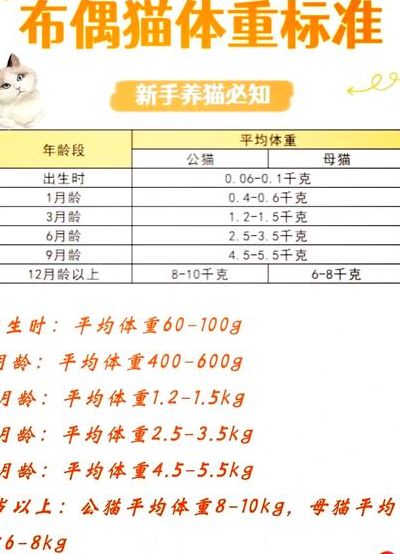 布偶正常体重对照表图（布偶正常体重是多少）