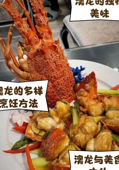 澳洲大龙虾的做法大全（澳洲大龙虾的做法大全家常菜）