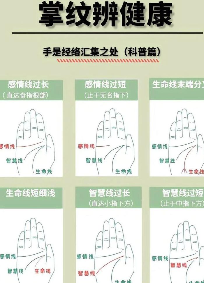 正常人指纹尺寸对照表图（正常人的指纹掌纹和褶皱纹）
