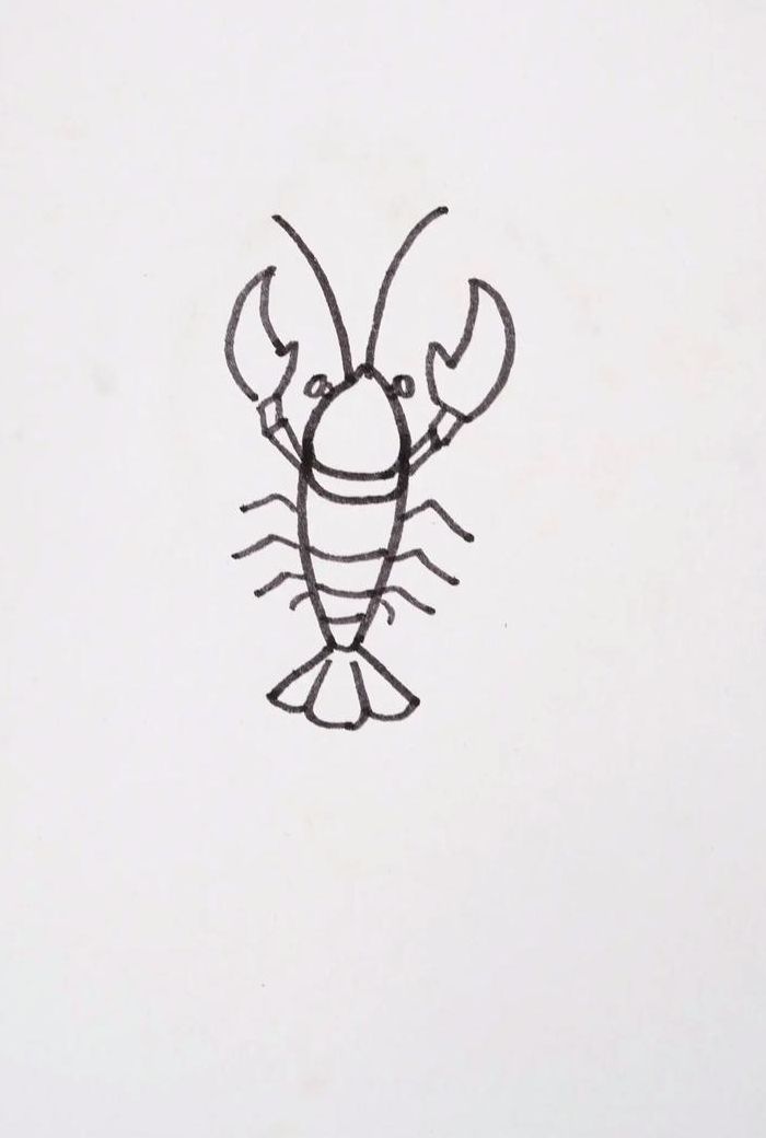龙虾简笔画（澳洲大龙虾简笔画）