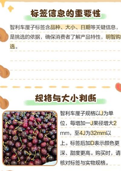 车厘子标签对照表图（如何看懂车厘子的标贴）