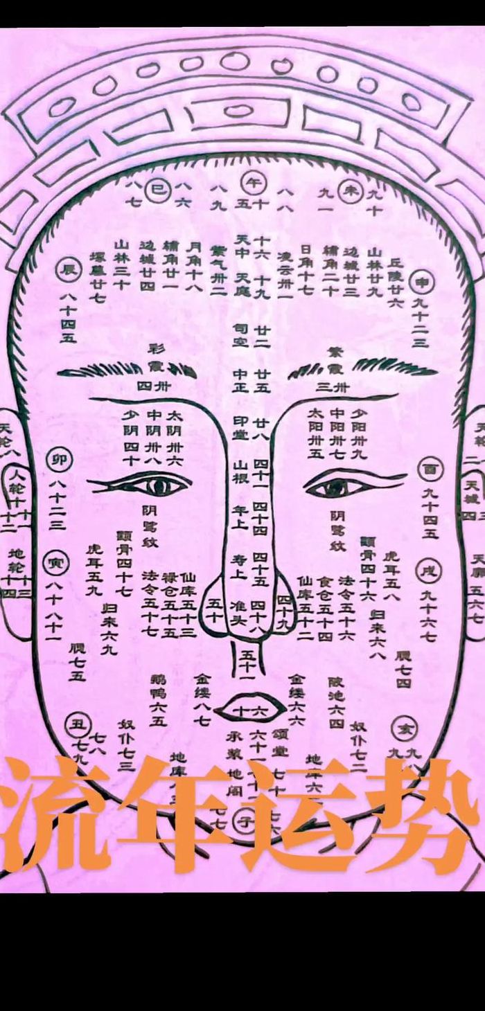 面相脸型与年龄对照表图（面相年龄运势图图解）