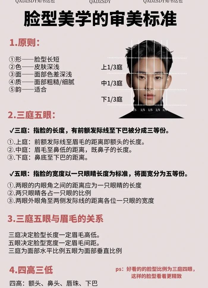 脸型长度标准对照表图（脸型汇总）